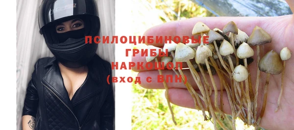 твердый Алексеевка