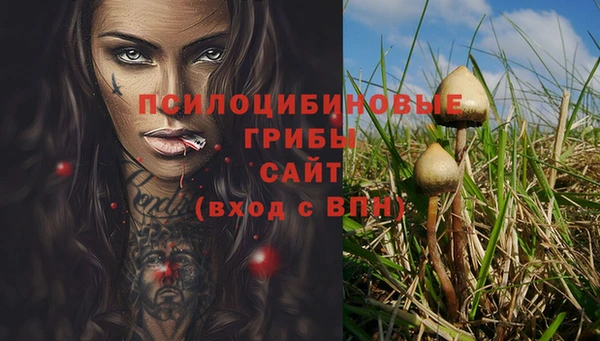 твердый Алзамай