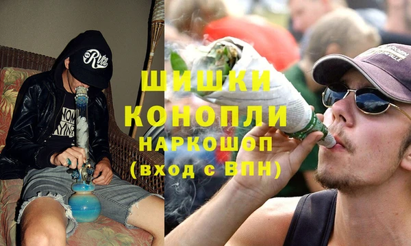 ешки Алексин