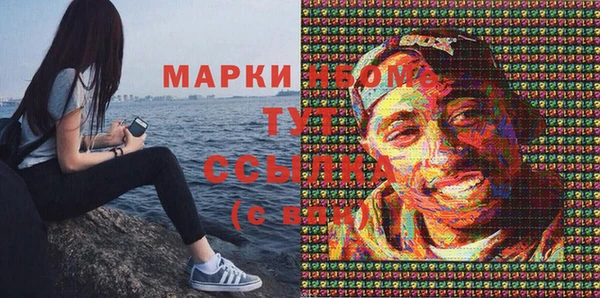 ешки Алексин