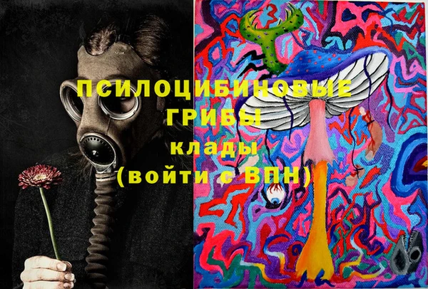 ешки Алексин