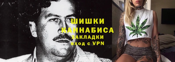 ешки Алексин