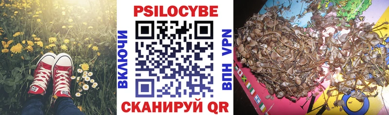 где продают наркотики  Злынка  Галлюциногенные грибы GOLDEN TEACHER 